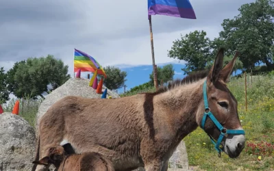 Avamposto Agricolo Autonomo su Mappa dell’Italia che Cambia