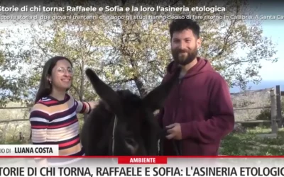 Il viaggio di ritorno in Calabria di Raffaele e Sofia
