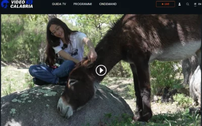 Puntata n.3 della 2° stagione di ‘Falla Girare’